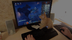 Видео превью